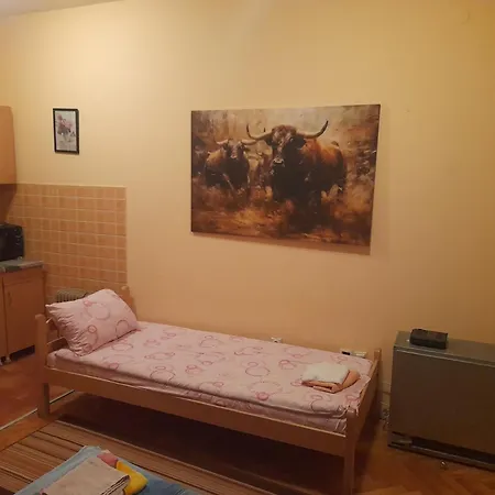 Mirijevski Guest house
