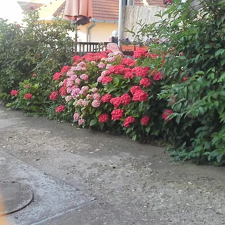 Mirijevski Belgrado