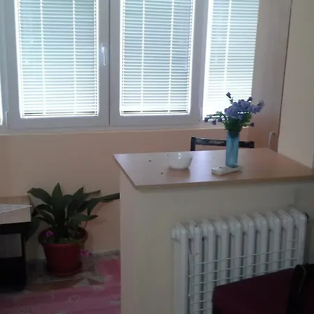 Casa de hóspedes Mirijevski